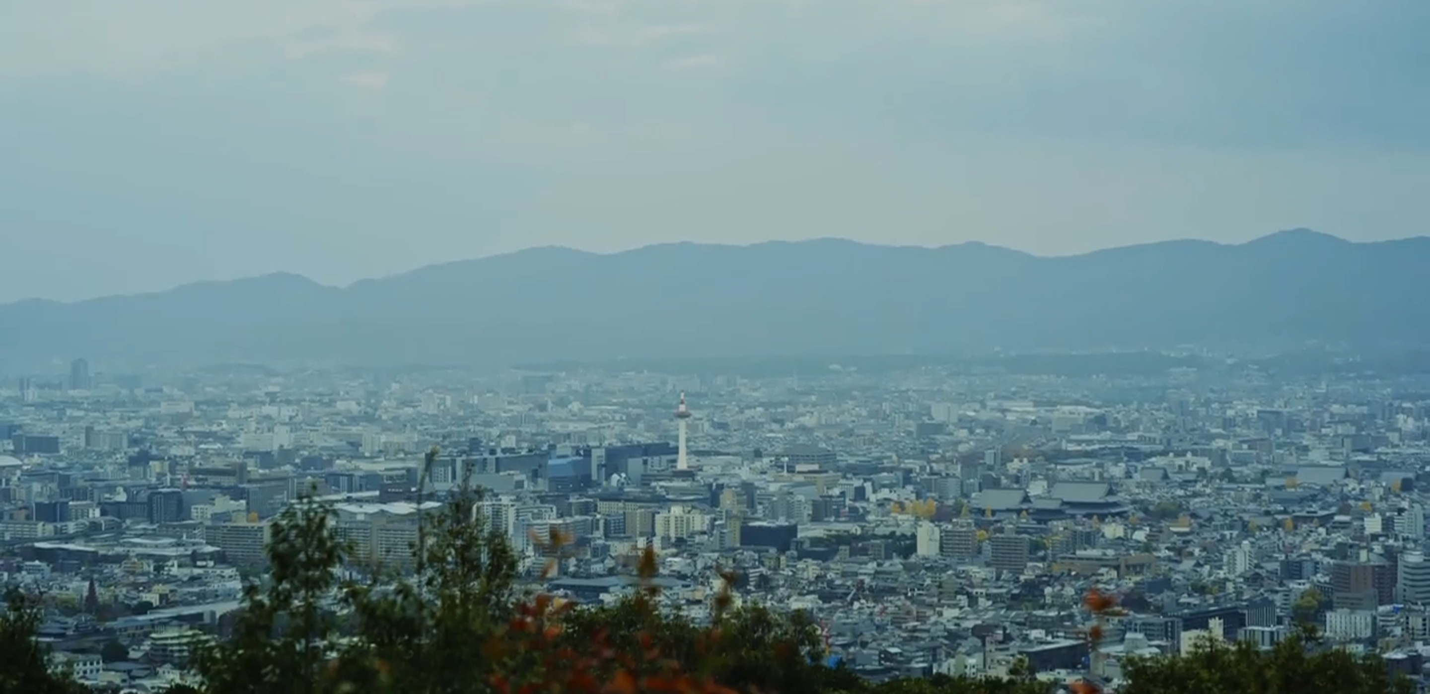 ギャラリー イメージ