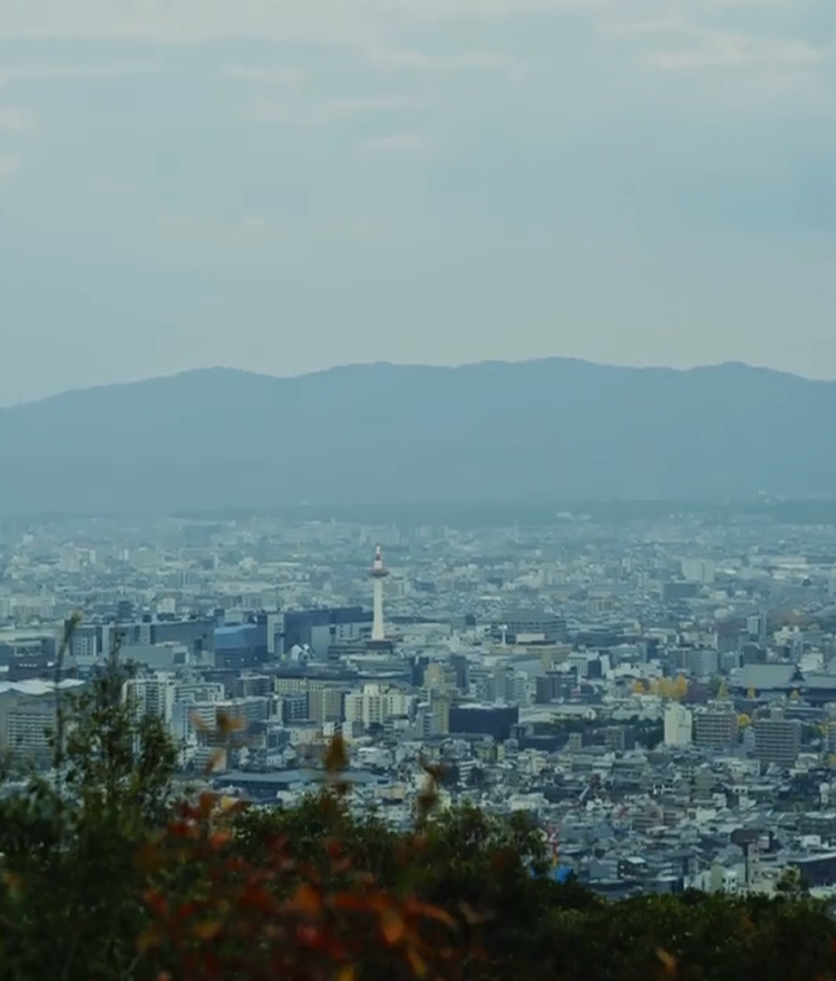 ギャラリー イメージ