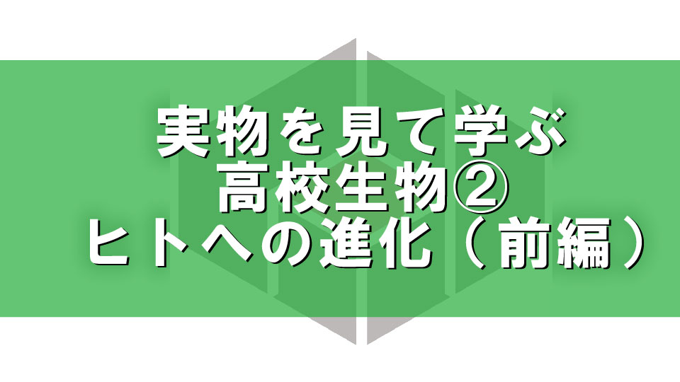 実物を見て学ぶ高校生物②ヒトへの進化（前編）