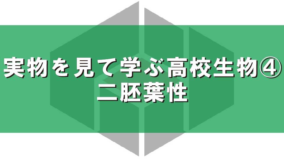 実物を見て学ぶ高校生物④二胚葉性