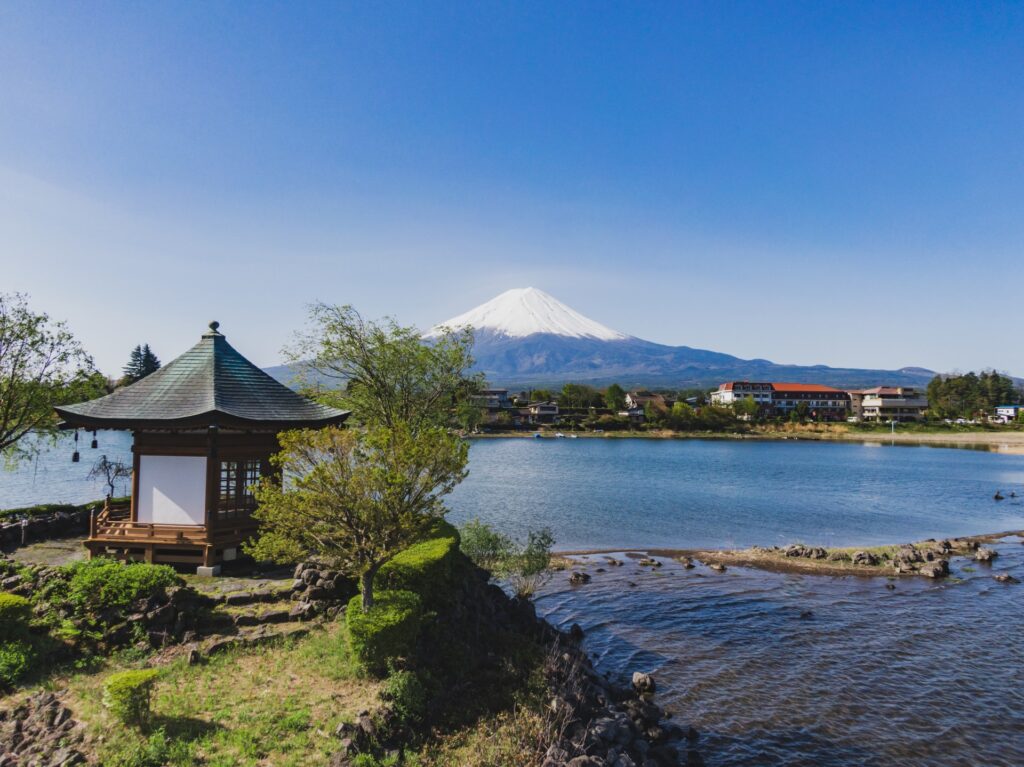 山梨大学 医学部