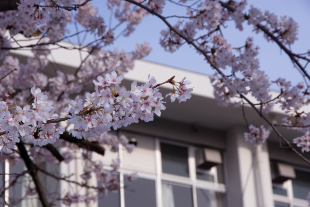 岡山大学 医学部