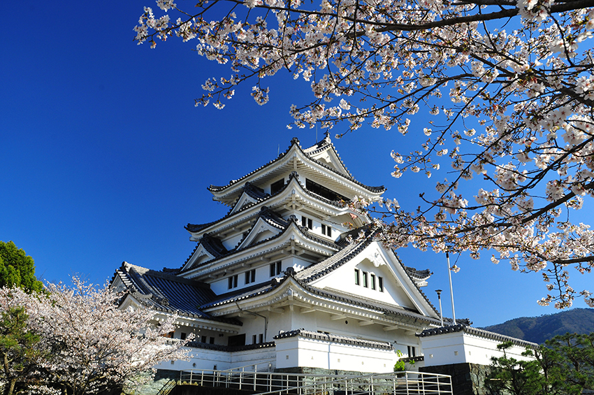 【徳島大学医学部】難易度はどれくらい？偏差値や倍率などの入試情報や大学の特徴について徹底解説！￼