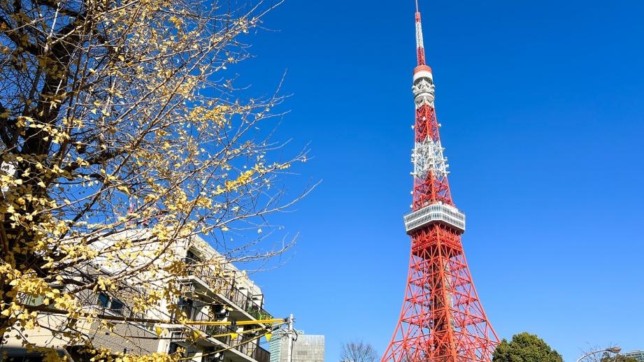 【東京大学医学部】難易度はどれくらい？偏差値や倍率などの入試情報や大学の特徴について徹底解説！