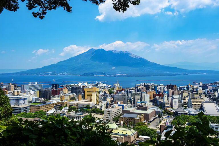 鹿児島大学　医学部