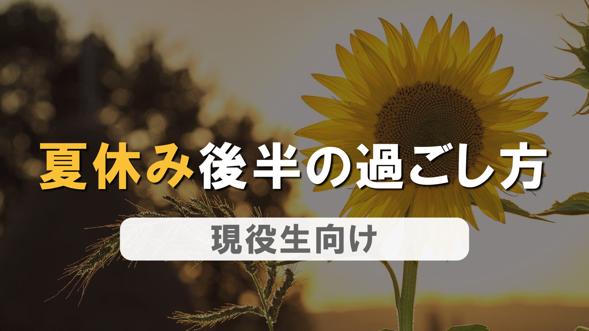 現役生の方へ　～夏休み後半の過ごし方～