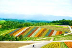 旭川医科大学　医学部