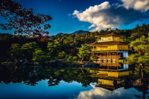 京都府立医科大学　医学部