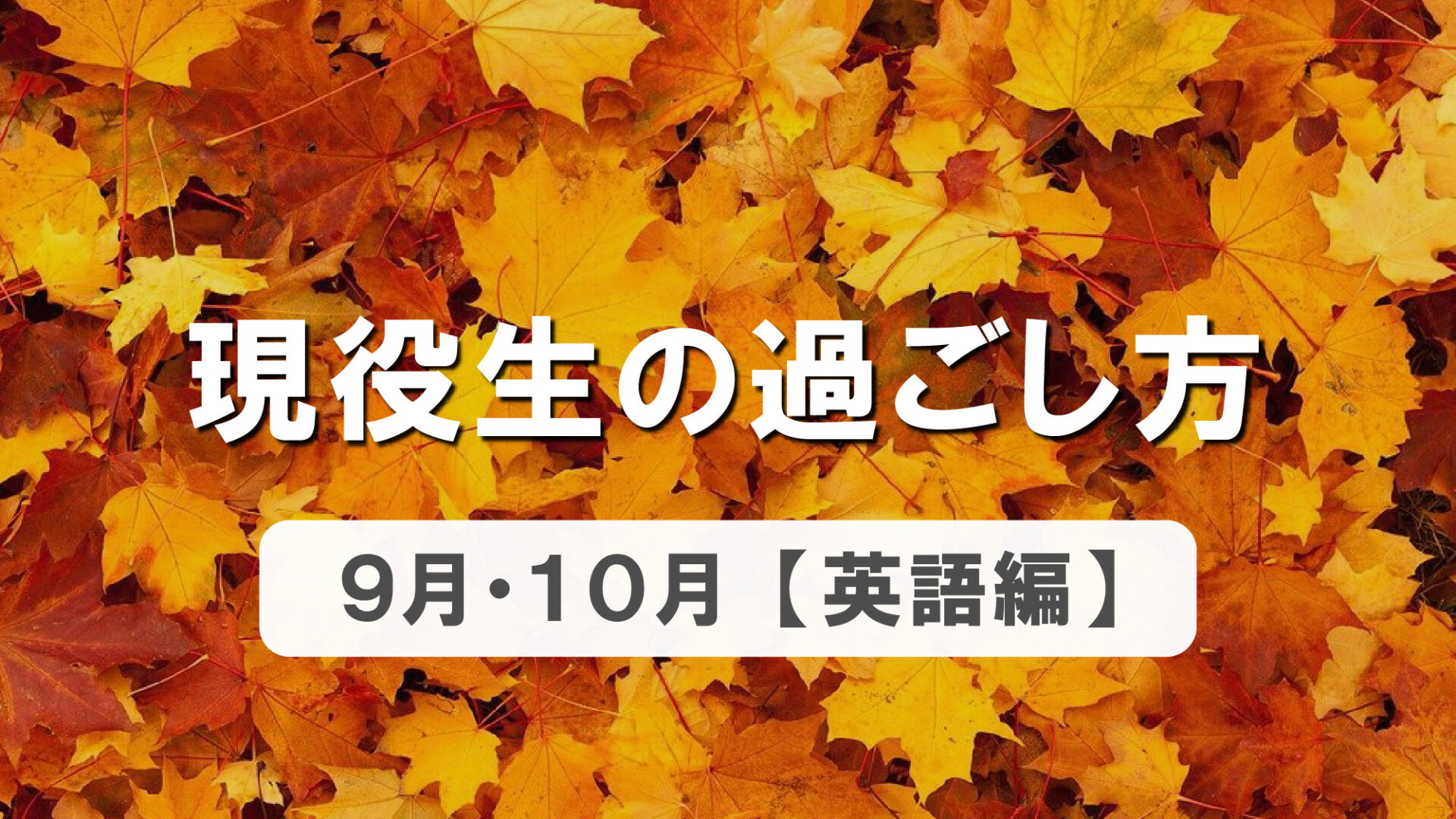 現役生の過ごし方9月・10月編　英語