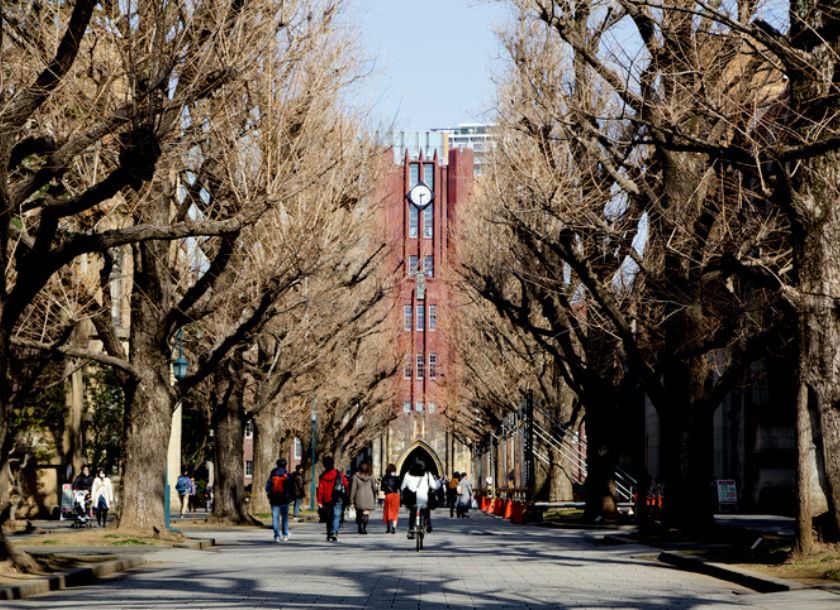 医学部 国 公立 ランキング