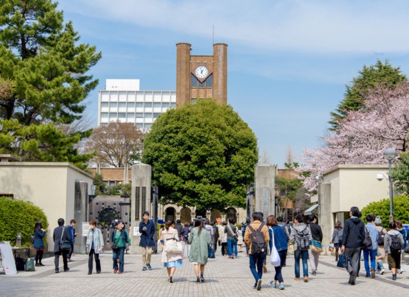 医学部 入試