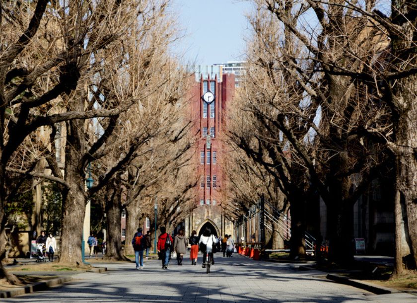 医学部 難易度