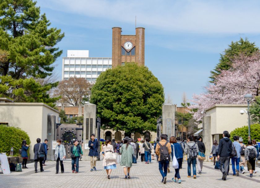 倍率 低い 医学部
