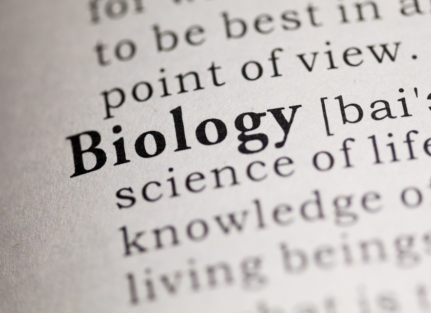 生物は暗記が多すぎて大変？勉強を効率化するコツを紹介