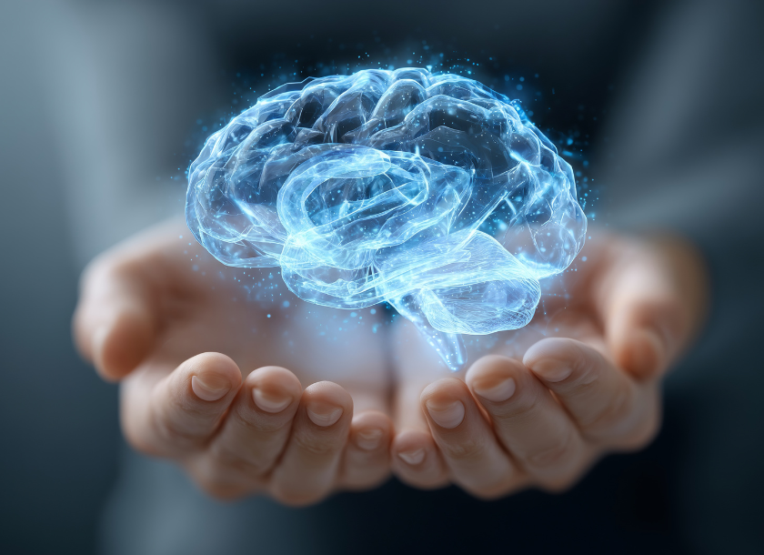 医学部で脳科学を学ぶには？研究内容・大学別の特徴をわかりやすく解説