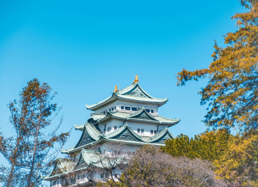 愛知県の私立大学医学部はこの2校！偏差値・学費・入試・特徴を徹底比較