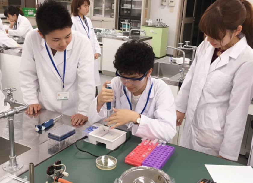 医学部 薬学部 違い
