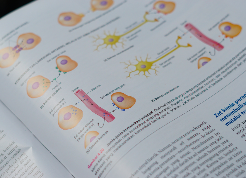 共通 テスト 生物