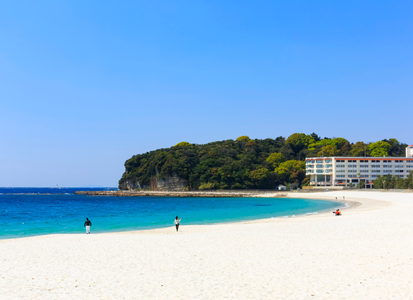 和歌山県立医科大学医学部の再受験生の受け入れ実態とは？入試・面接対策も解説