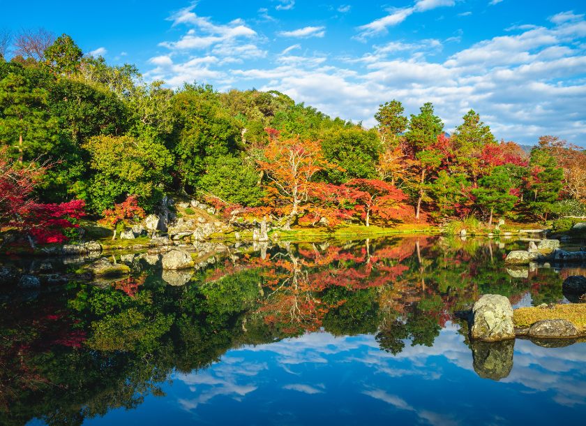 近畿大学医学部の再受験は不利ではない？出願条件・入試対策・学費まで解説