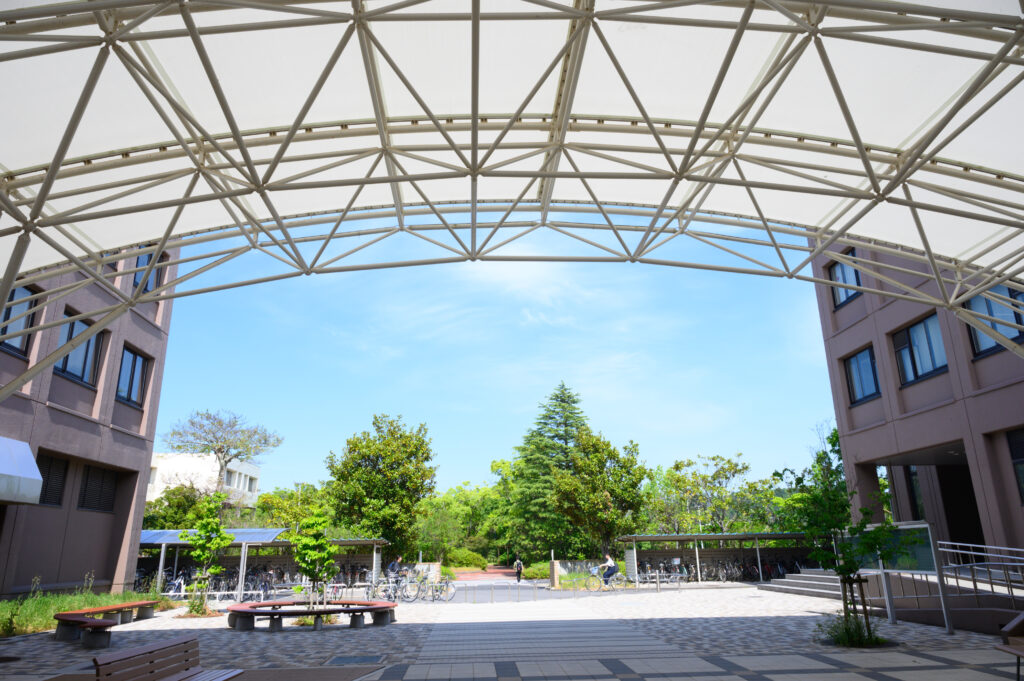 島根大学医学部の再受験｜個別2教科と県内定着枠の要点を解説