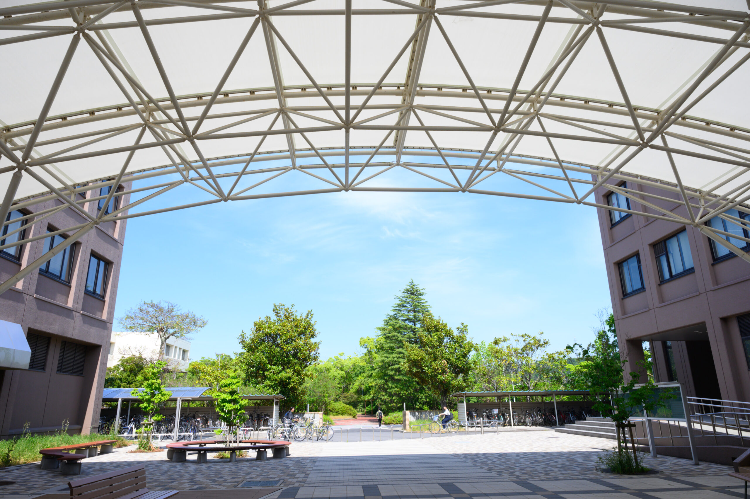 島根大学医学部の再受験|個別2教科と県内定着枠の要点を解説